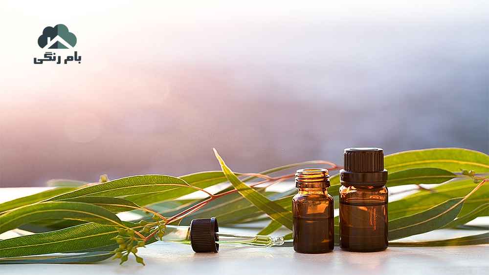 خوشبو کردن محیط با اوکالیپتوس