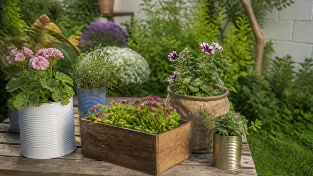 باغچه ای کوچک و دنج با گلدان های بازیافتی، صندلی چوبی ساده و گیاهان سرسبز در نور طبیعی
